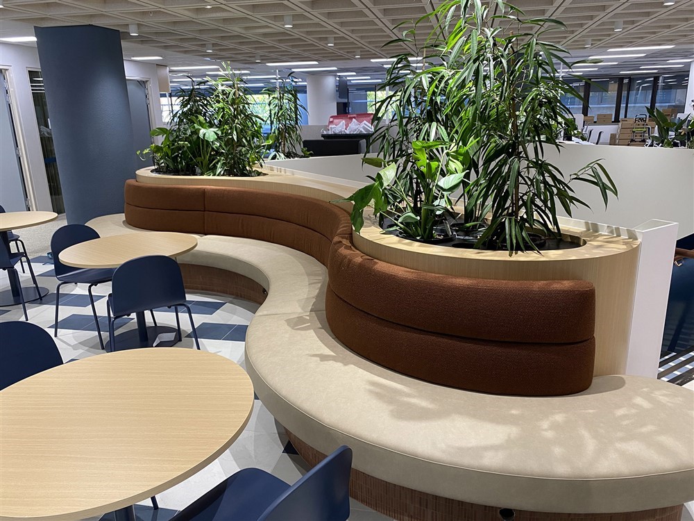 Modern office showroom with stylish upholstered seating and plants, designed by expert upholsterers in Adelaide.